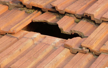 roof repair Hellington, Norfolk
