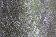 Hellington fibreglass roof work